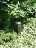 image of grave number 257684